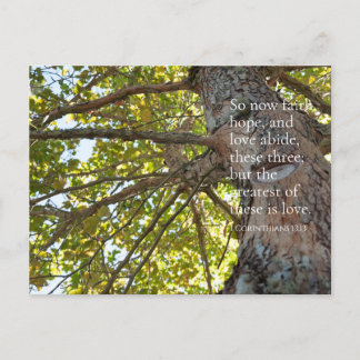 1 Corinthiens 13:13 Branches Arbre Carte postale