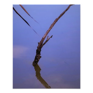 #1-Etang von Scamander in Camargue. Fotodruck