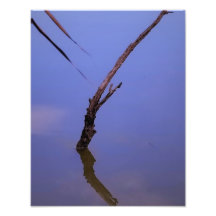 #1-Etang von Scamander in Camargue.