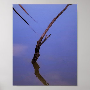 #1-Etang von Scamander in Camargue. Poster