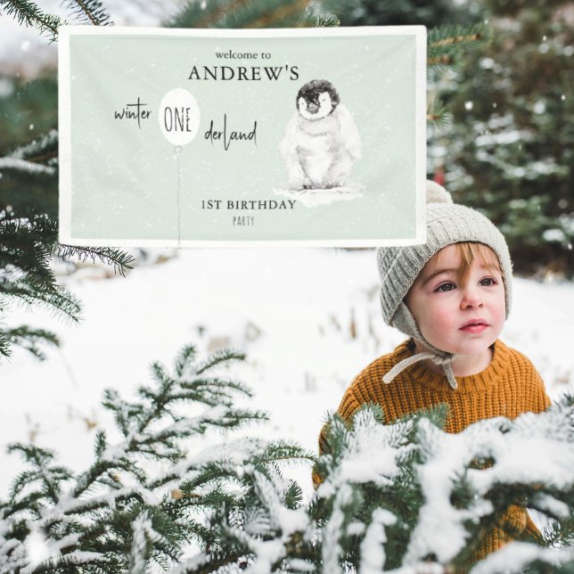 1. Geburtstag Winter Wonderland Geburtstagsbegrüßu Banner (Von Creator hochgeladen)