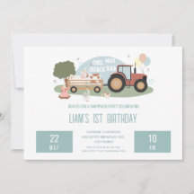 1. Geburtstagsfarm Animals Barnyard Party Boys