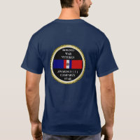 1 KAMPAGNER STAR KOSOVO KRIEG VETERAN