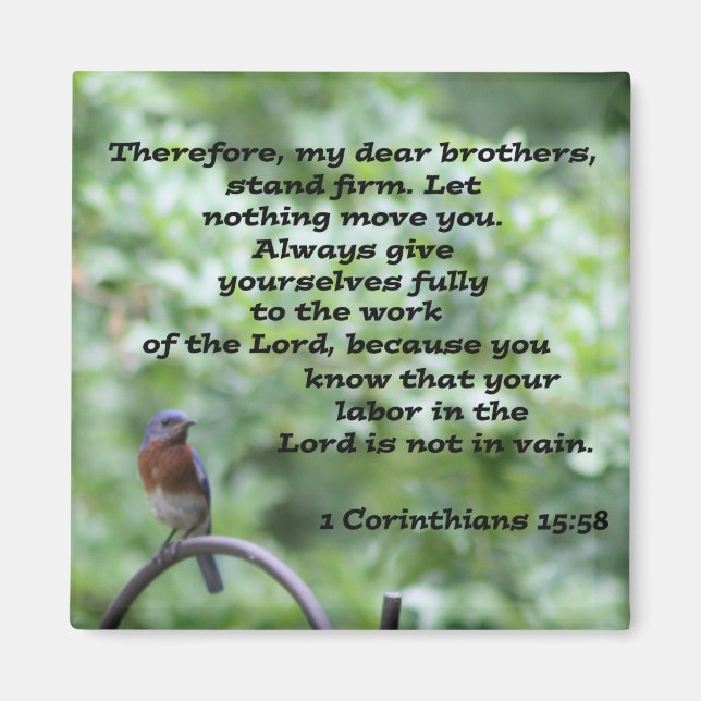 1 Korinther 15:58 Magnet (Vorne)