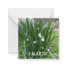 1 Martie-Flachscheine