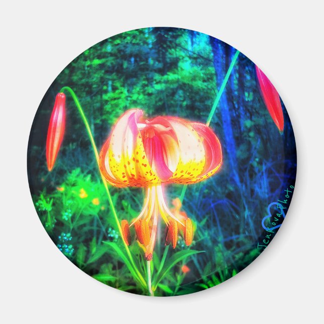 1 MICHIGAN LILLY MAGNET (Vorne)