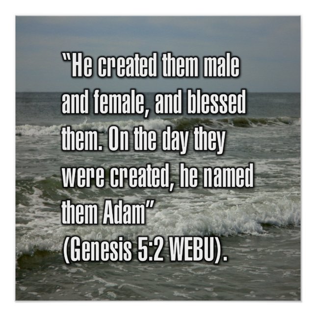 1. Mose 5:2 WEBU Poster (Vorderseite)
