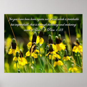 1 Peter 1:23 Inspirationsquelle Poster