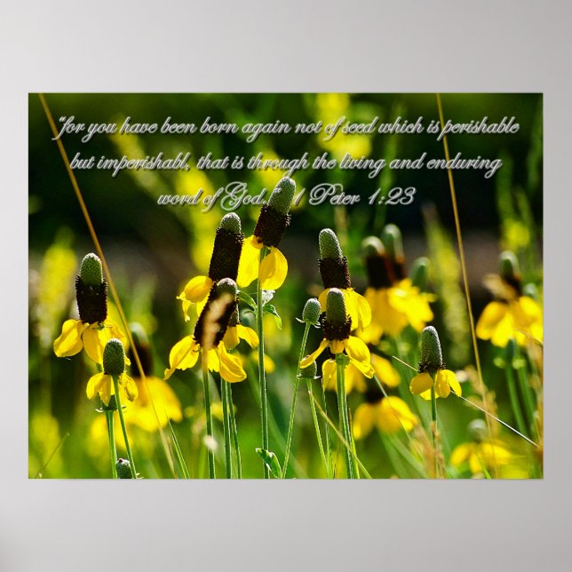 1 Peter 1:23 Inspirationsquelle Poster (Vorne)