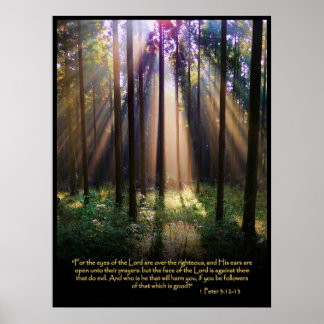 1 Peter 3:12-13 Christliches Bibelverse-Poster Poster