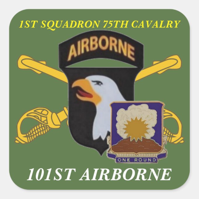 1. SQUADRON 75. CAVALRY 101. IM FLUGZEUG STICKER (Vorderseite)