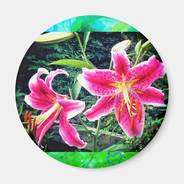 1 STARGAZER MAGNET (Vorne)