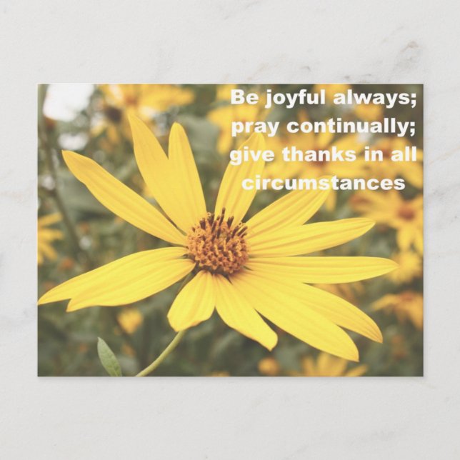 1 Thessaloniki 5:16-18 Sonnenblumen Postkarte (Vorderseite)
