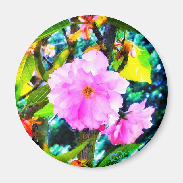 1CHERRY BLOSSOM MAGNET (Vorne)