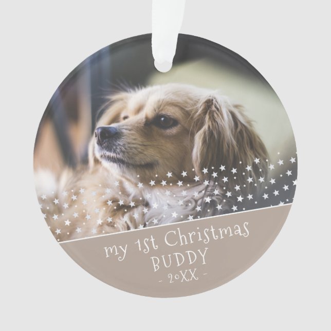 1er Noël Chien animal de compagnie photo gardienna (devant)