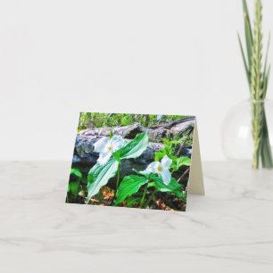 1TRILLIUMS-GREETKARTE KARTE