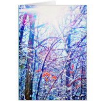 1Winter Sun Card