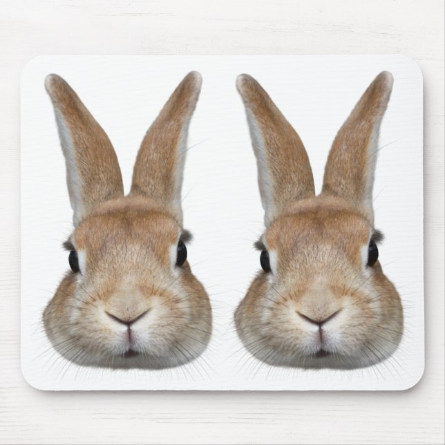 2匹のウサギの顔 MOUSEPAD (Vorne)