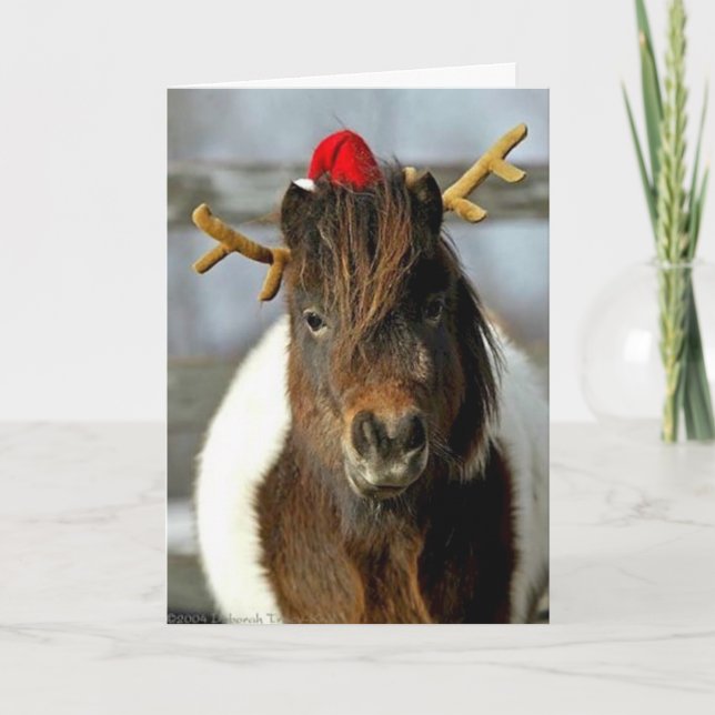 2005 OMRH Weihnachtskarten-Foto-erster Feiertagskarte (Vorderseite)