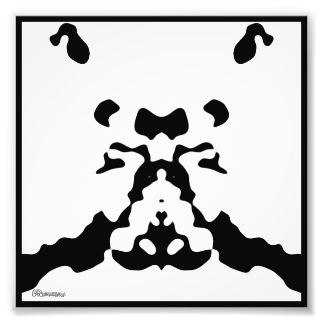 2006_0031 Rorschach Fotodruck (Vorne)