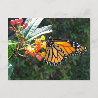 2008_0109_114022 POSTKARTE