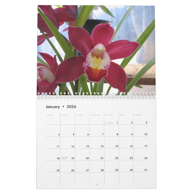 2008 ein Jahr der Orchideen Kalender (Jan 2026)
