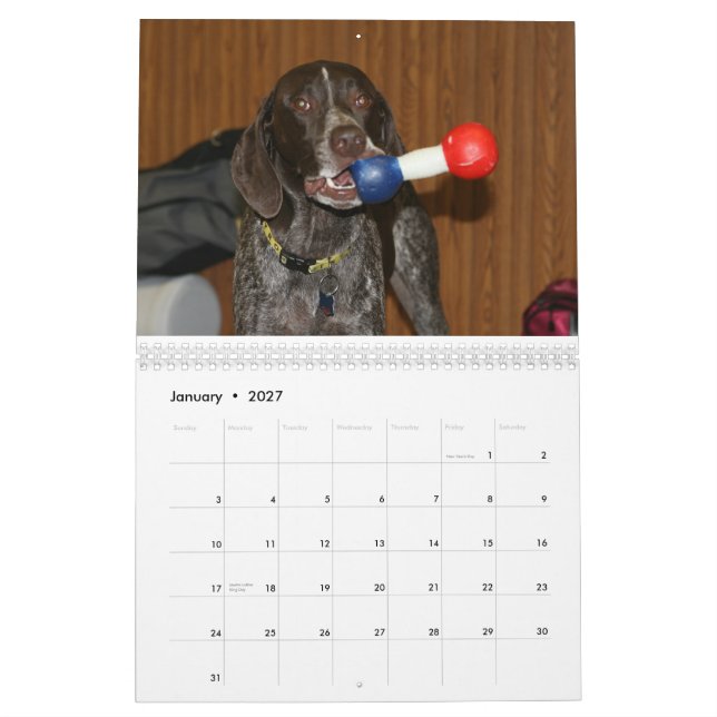 2008 Hundekalender Kalender (Jan 2027)
