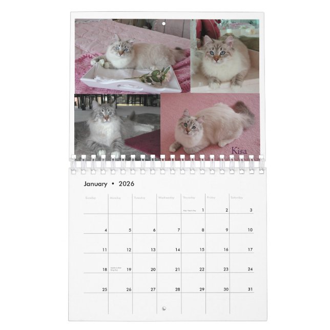 2008 sibirische Inspektion der Katzen Calendar2 Kalender (Jan 2026)