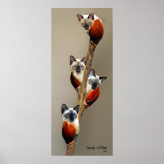 2008JuliShowPussyWillowToasty Poster