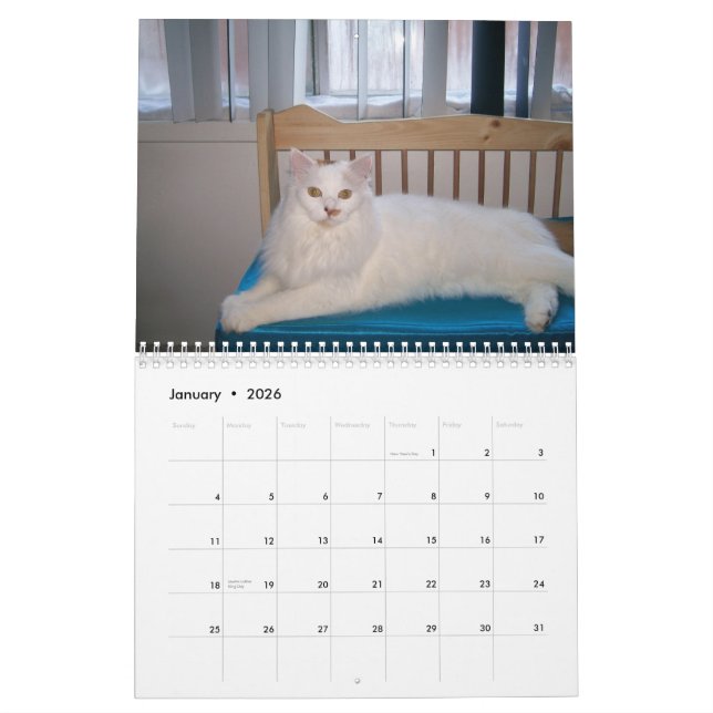 2009 aimant le calendrier sauvage de chat de Feral (Jan 2026)