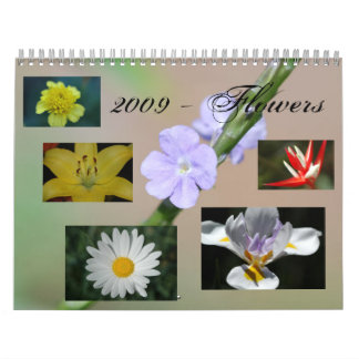 2009 - Blume Kalender