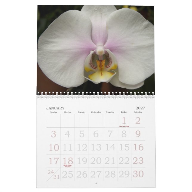 2009 Blumen Kalender (Jan 2027)