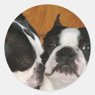 2009-Cover Runder Aufkleber