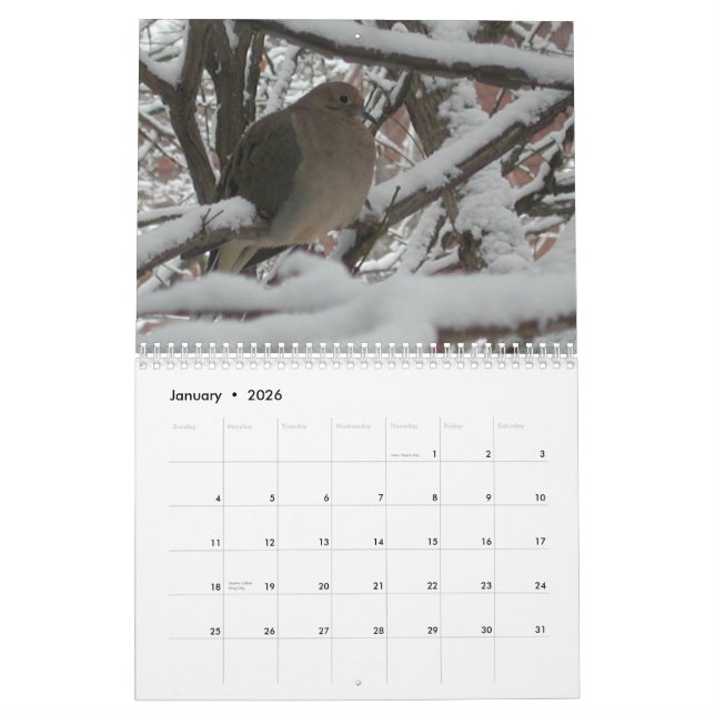 2009 der Garten-" Kalender "des Homosexuellen (Jan 2026)