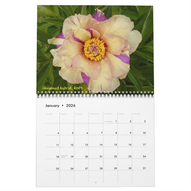 2009 Internationaler Peonkalender - Maßgeschneider Kalender (Jan 2026)