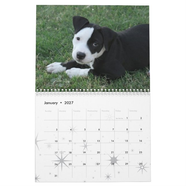 2009 Welpen-Kalender Kalender (Jan 2027)