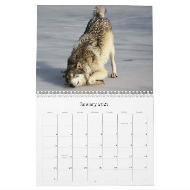 2009 Wolf-Kalender Kalender (Jan 2027)