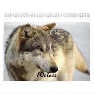 2009 Wolf-Kalender Kalender
