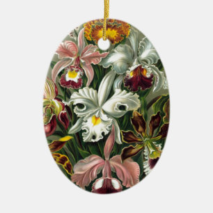 20101126181226! Haeckel_Orchidae.jpg Keramik Ornament