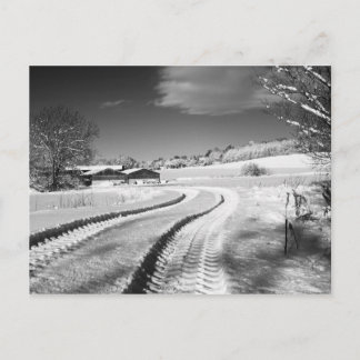 2010-01-07_12.25.10 - Schneefall auf Fox Hill Lane Postkarte