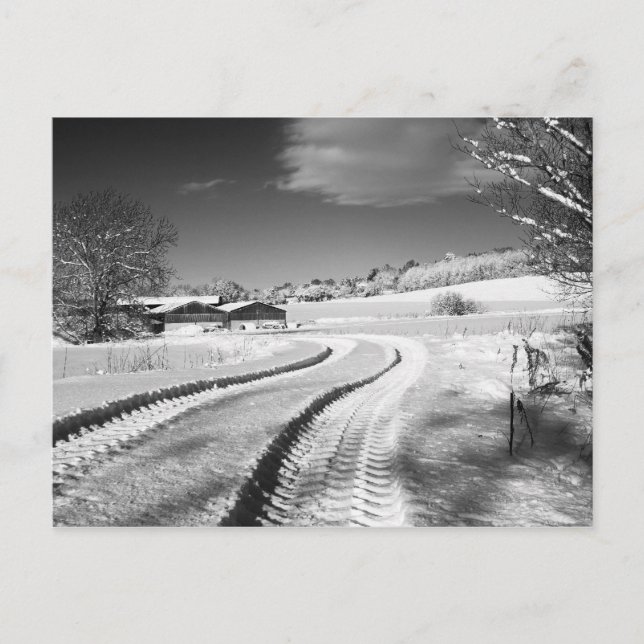 2010-01-07_12.25.10 - Schneefall auf Fox Hill Lane Postkarte (Vorderseite)