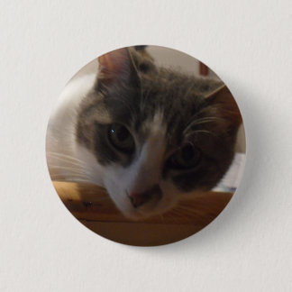 2010_04020026 BUTTON