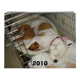 2010 Amerikaner-Bulldoggen-Kalender Kalender