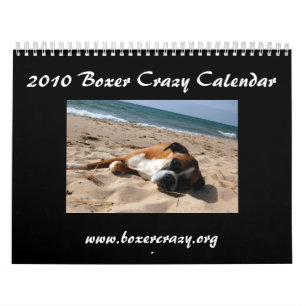 2010 AVANT JÉSUS CHRIST calendriers - style simpl