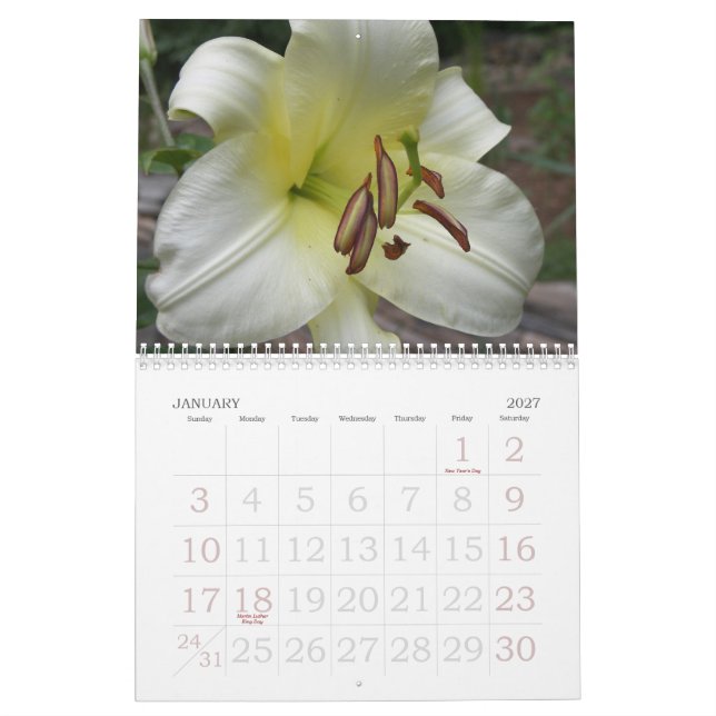 2010 Blumen Kalender (Jan 2027)