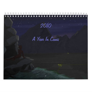 2010: Ein Jahr in Camis Kalender