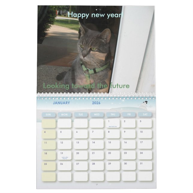 2010: Ein Jahr mit Katzen Kalender (Jan 2026)