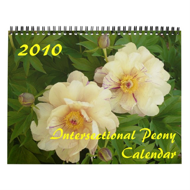 2010 Intersektionaler Peonkalender Kalender (Titelbild)