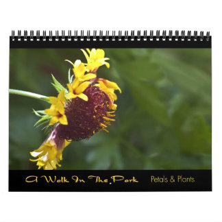 2010 Kalender - ein Weg im Park