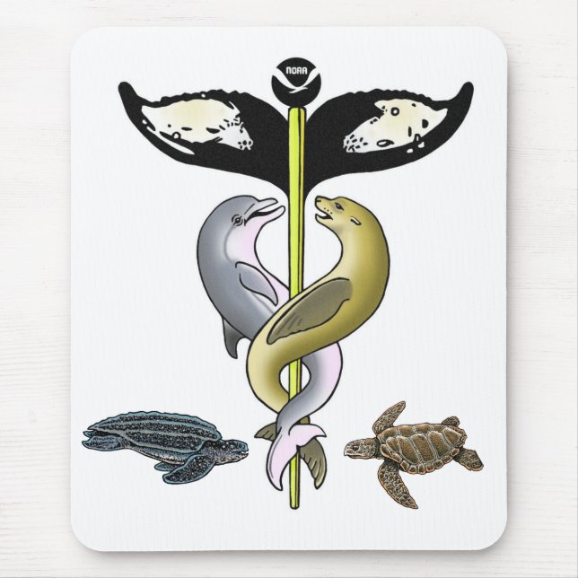 2010 NMAHC Mousepad (Vorne)